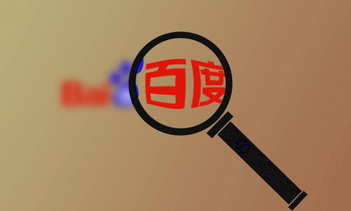 百度蜘蛛池搭建图片欣赏